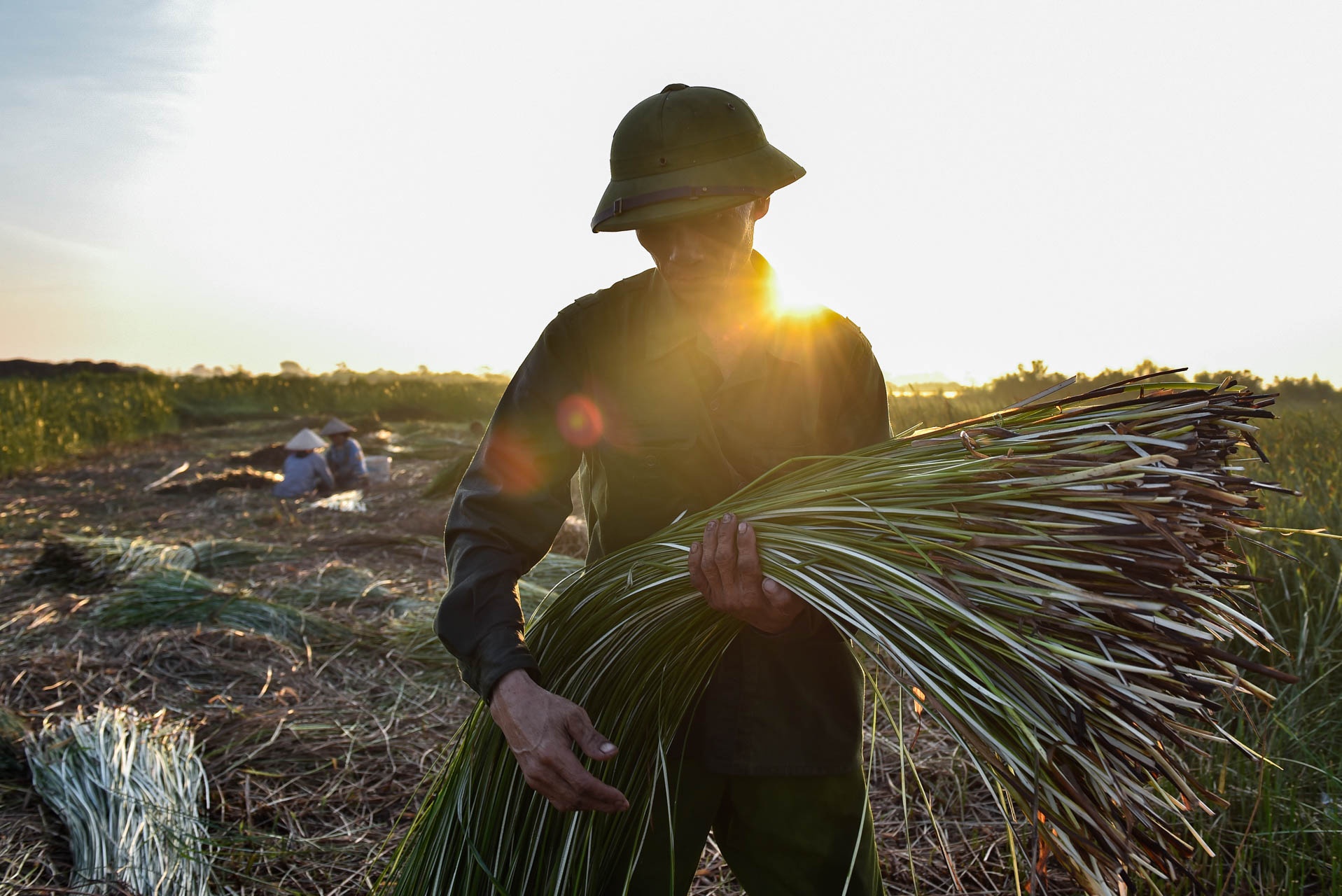 chong den thu hoach coi anh 4
