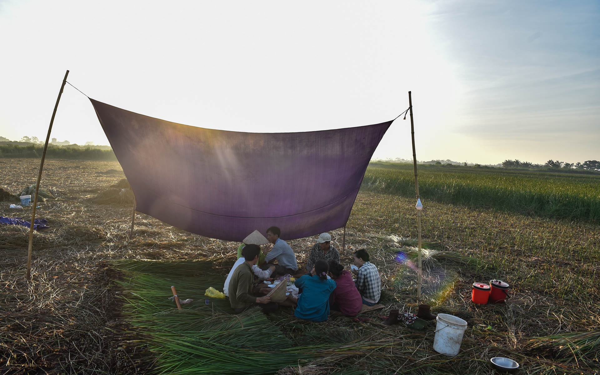 chong den thu hoach coi anh 9