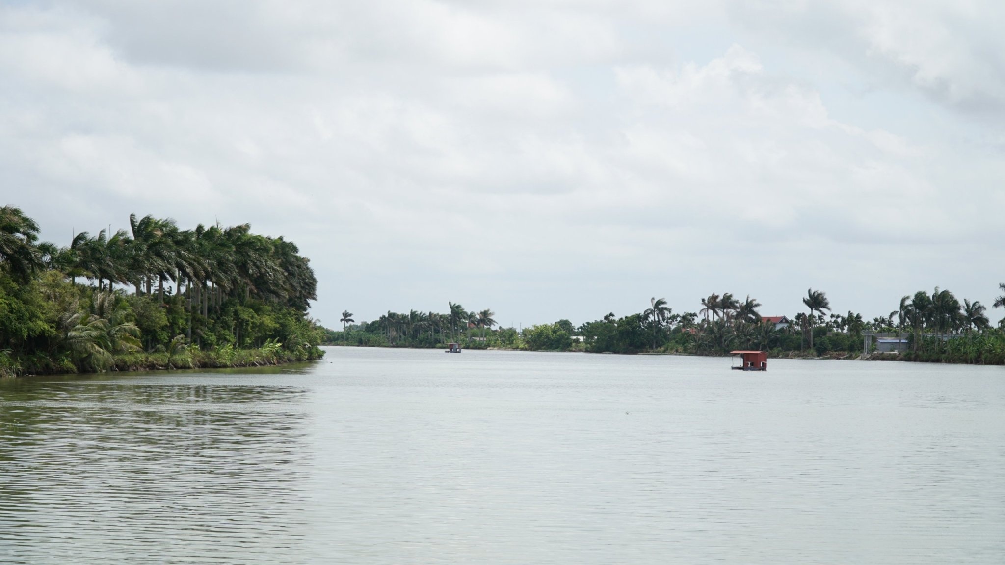 chan ga thoi noi tren song anh 2