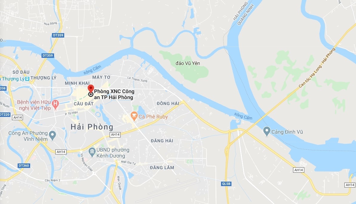 cay phuong do o Hai Phong anh 3