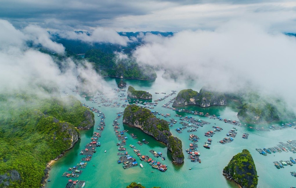 Hai Phong de nghi doanh nghiep du lich chia se kho khan do Covid-19 hinh anh