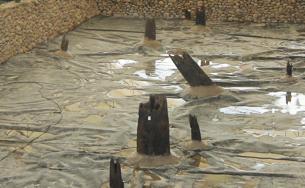 'Can nghien cuu them ve bai coc o Hai Phong' hinh anh