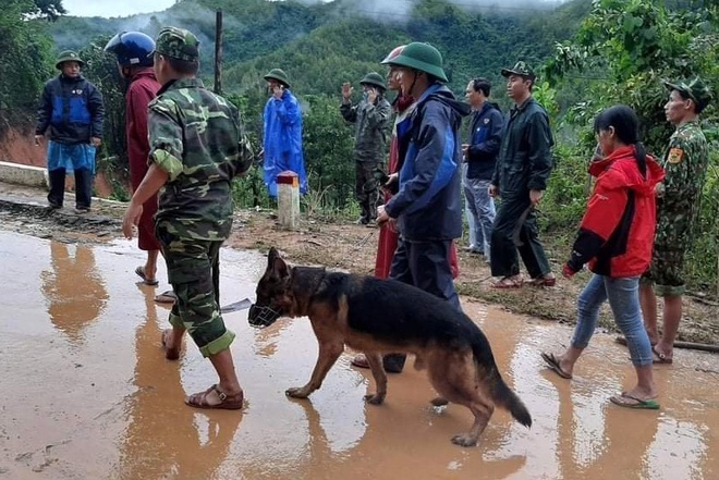 vu sat lo Quang Tri anh 2