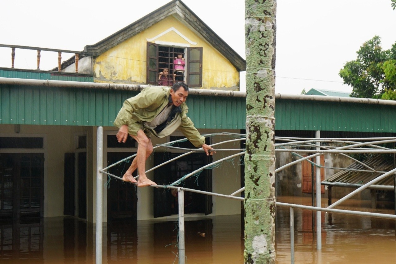 'Lu con ngap sau, ai di so tan nua khong?' hinh anh