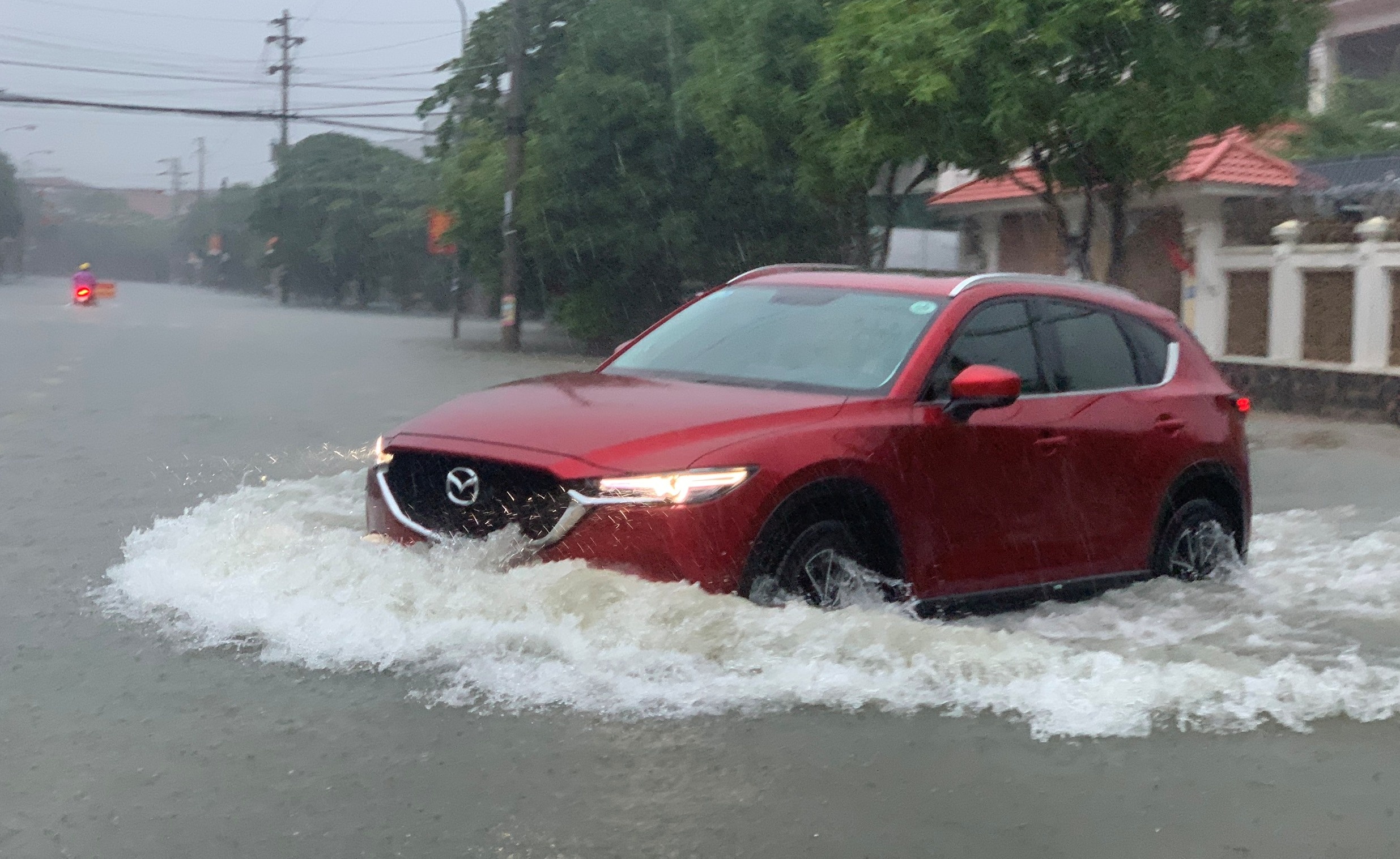 TP Vinh ngap sau anh 12