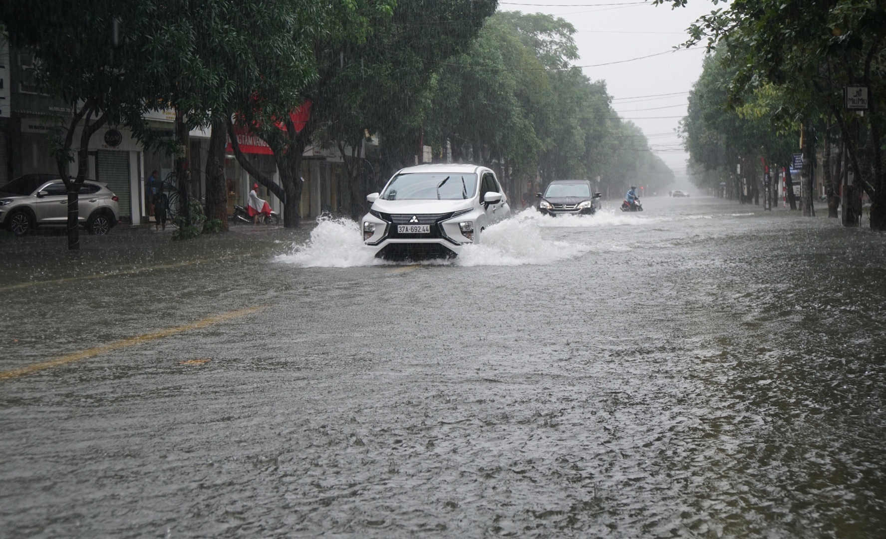 TP Vinh ngap sau anh 1