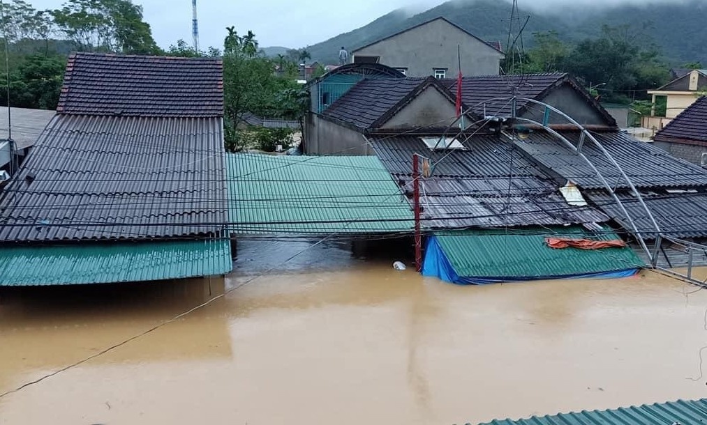 TP Vinh ngap sau anh 8