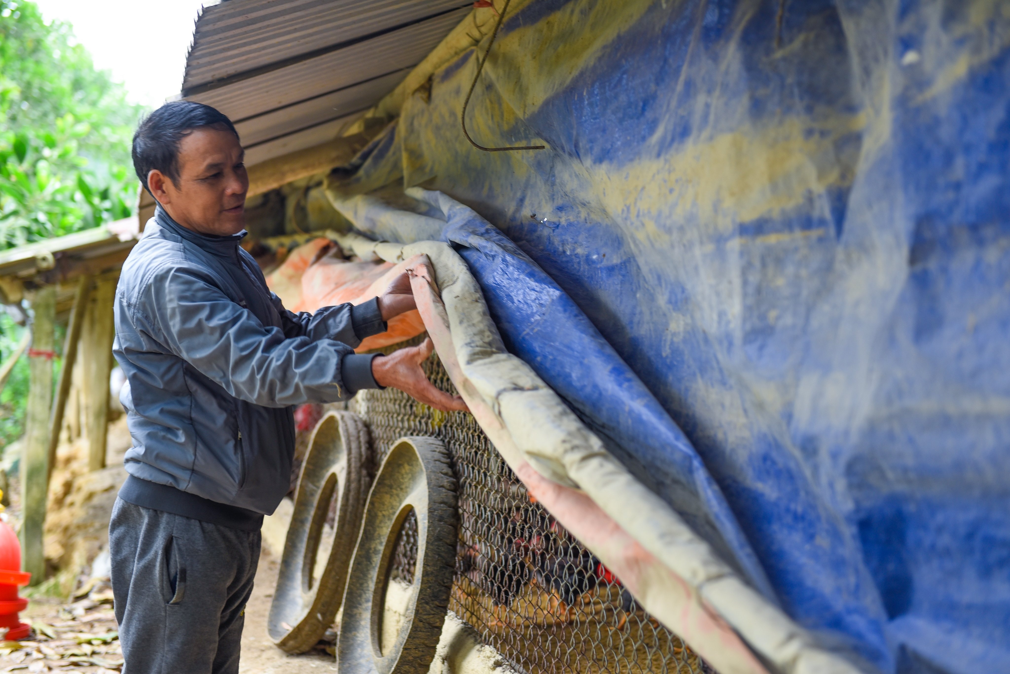 mac ao cho vat nuoi chong ret anh 2