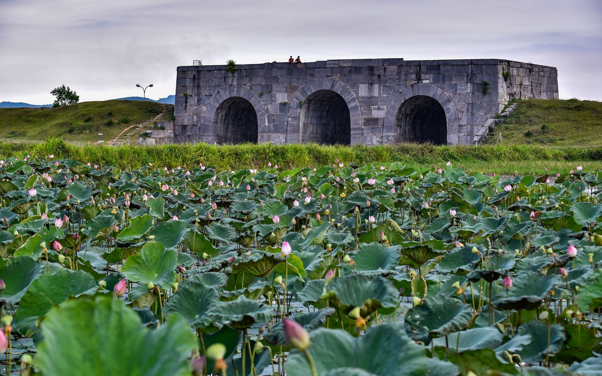 lo dien nhieu kien truc thanh nha Ho anh 3