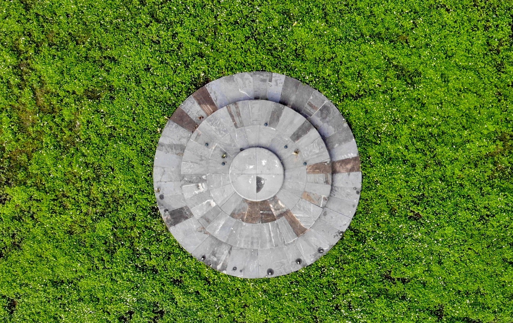 dan te Nam Gao nha Ho anh 8