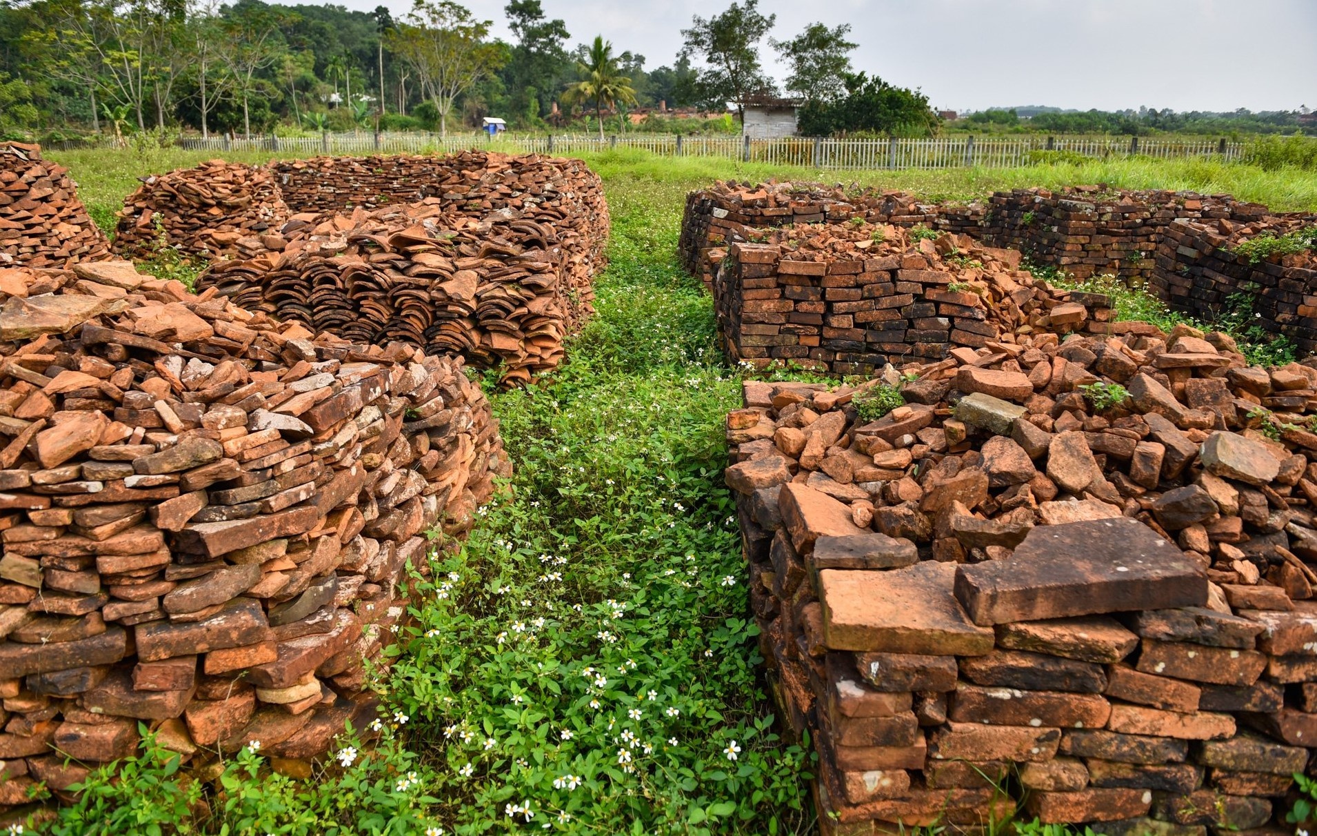 dan te Nam Gao nha Ho anh 12