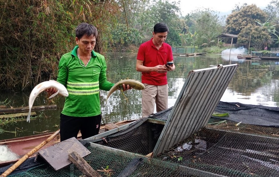 ca chet bat thuong tren song Ma anh 2