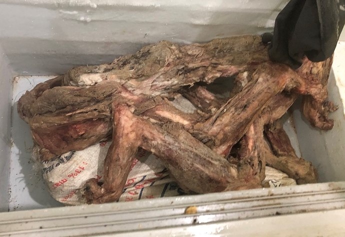 Bat vu danh bac, phat hien bo xuong ho gia 300 trieu hinh anh