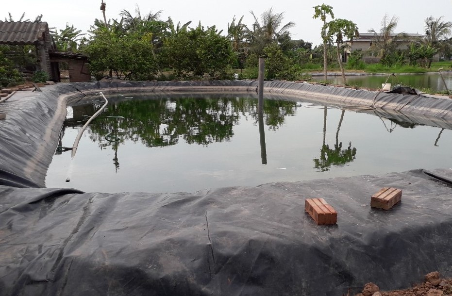 Thi the hai chi em sinh doi duoi ao hinh anh