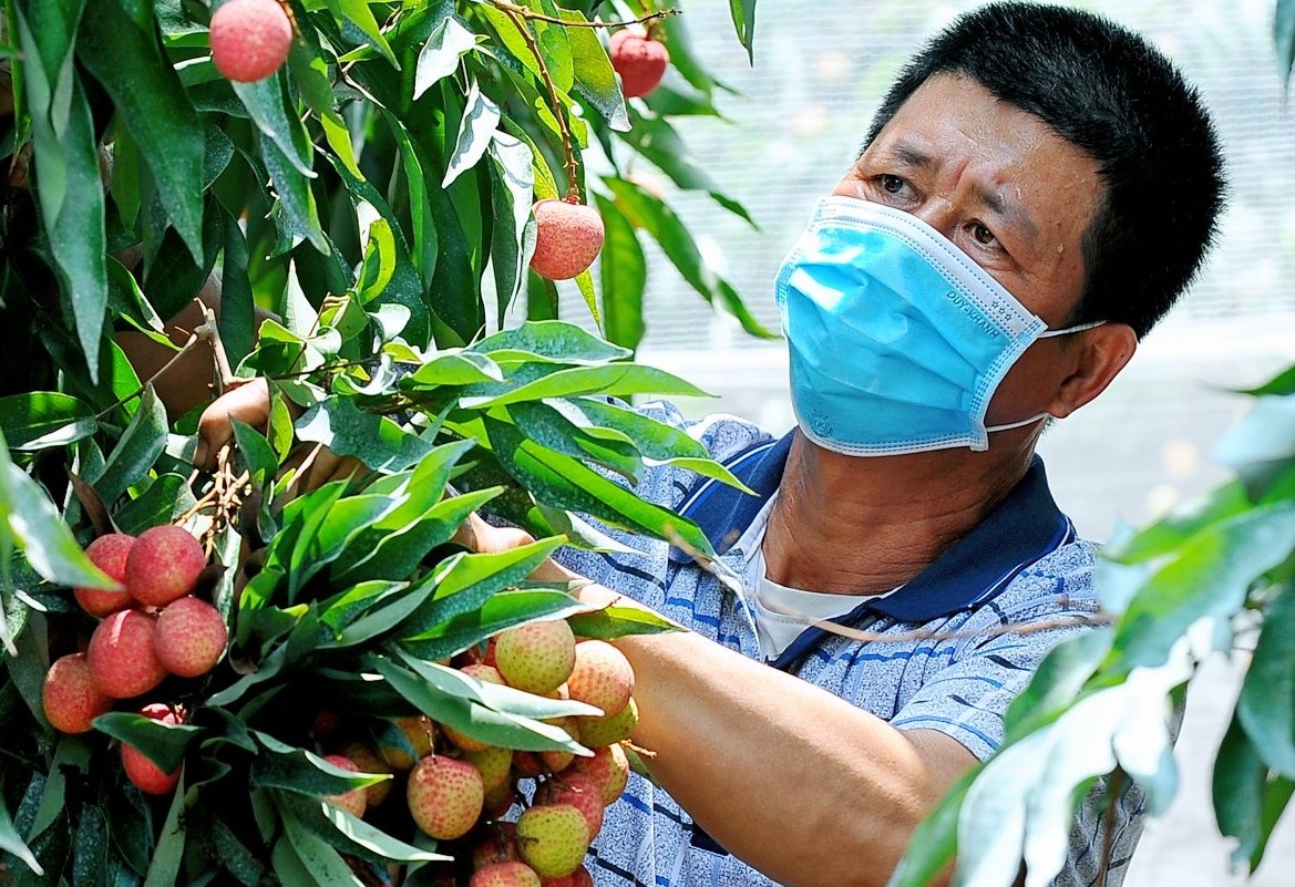 Vai Thanh Ha tieu chuan quoc te 'chay hang' hinh anh