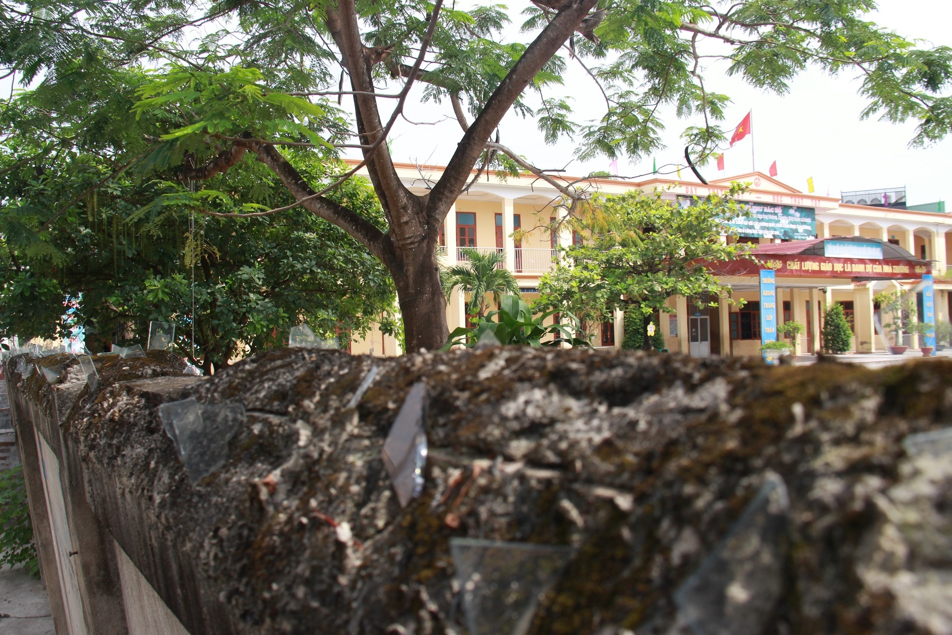 buc tuong co nguy co do sap anh 1