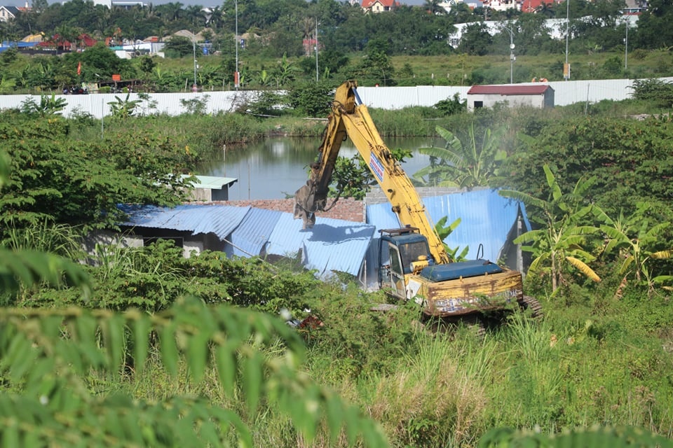 Hai Phong cuong che cong trinh anh 2