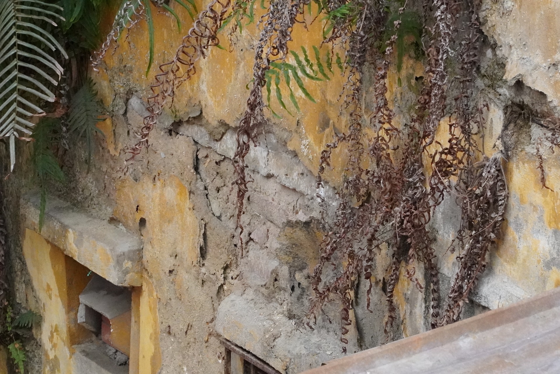 song nom nop trong khu tap the anh 7