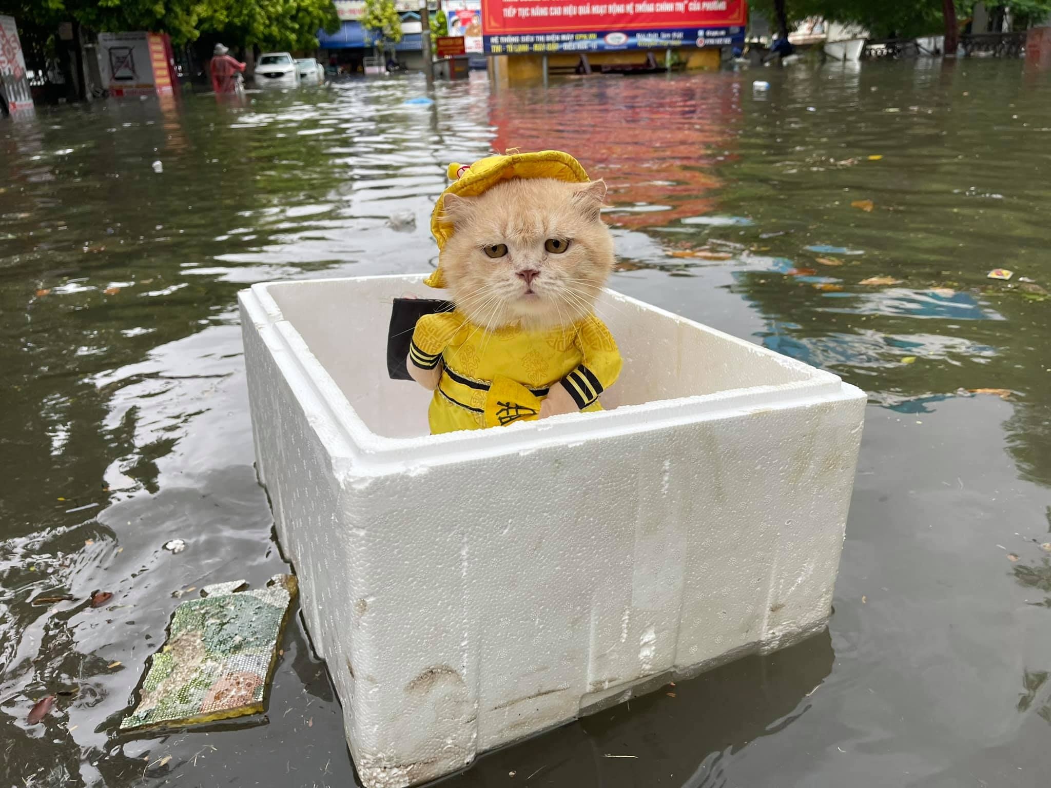 Duong pho Hai Phong ngap sau sau tran mua lon hinh anh