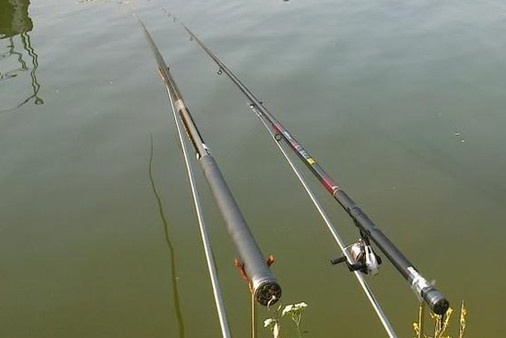 To chuc cau ca, chu ho bi phat 15 trieu dong hinh anh