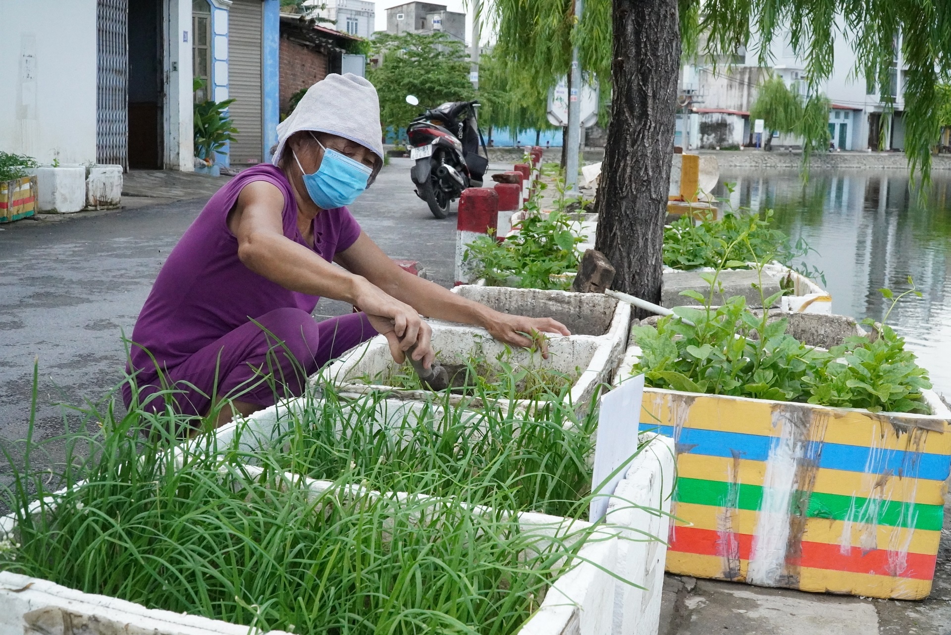 bat an canh ho dieu hoa khong lan can anh 4