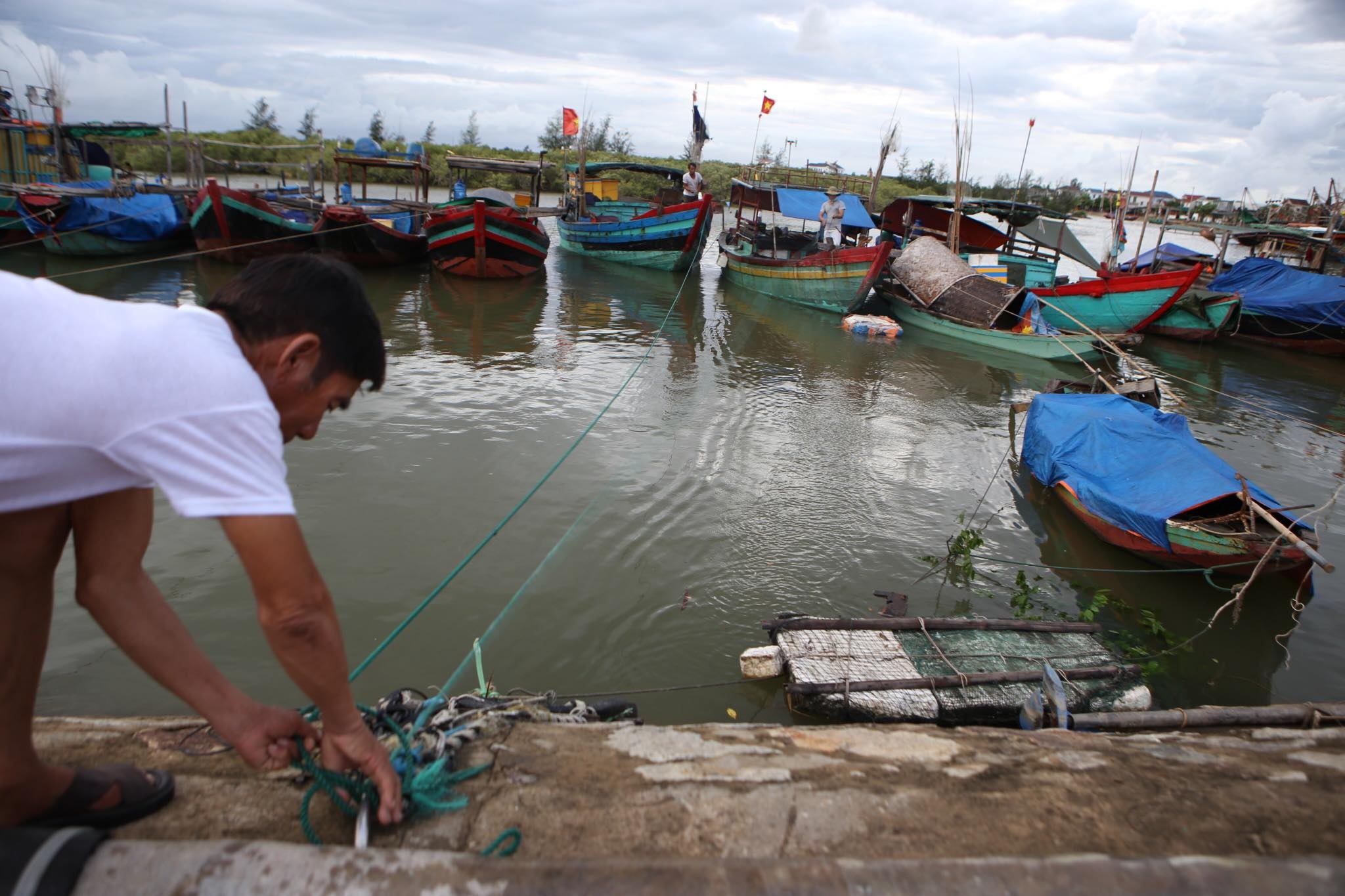 mien trung ung pho bao anh 3