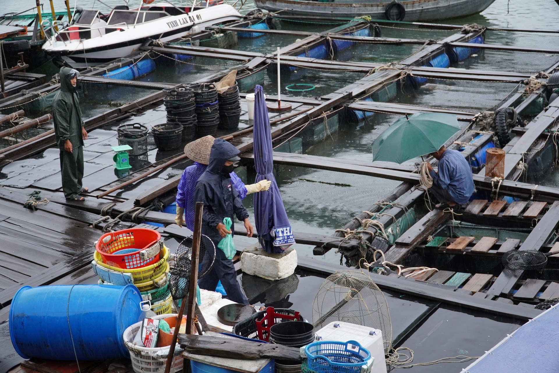 cat ba vang lang truoc bao anh 12