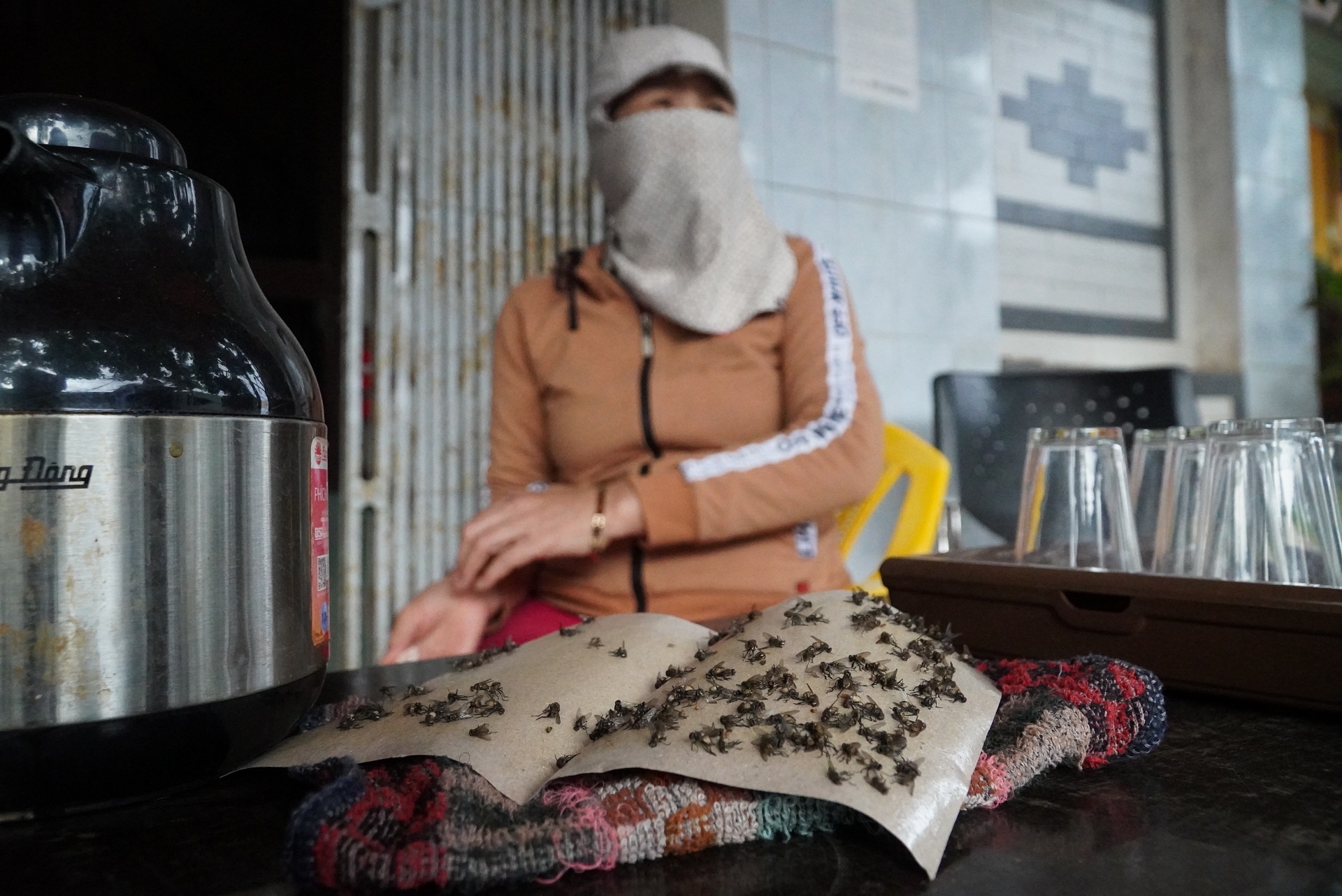 Nguoi Hai Phong song khon kho vi ruoi tu bai rac tran vao nha hinh anh