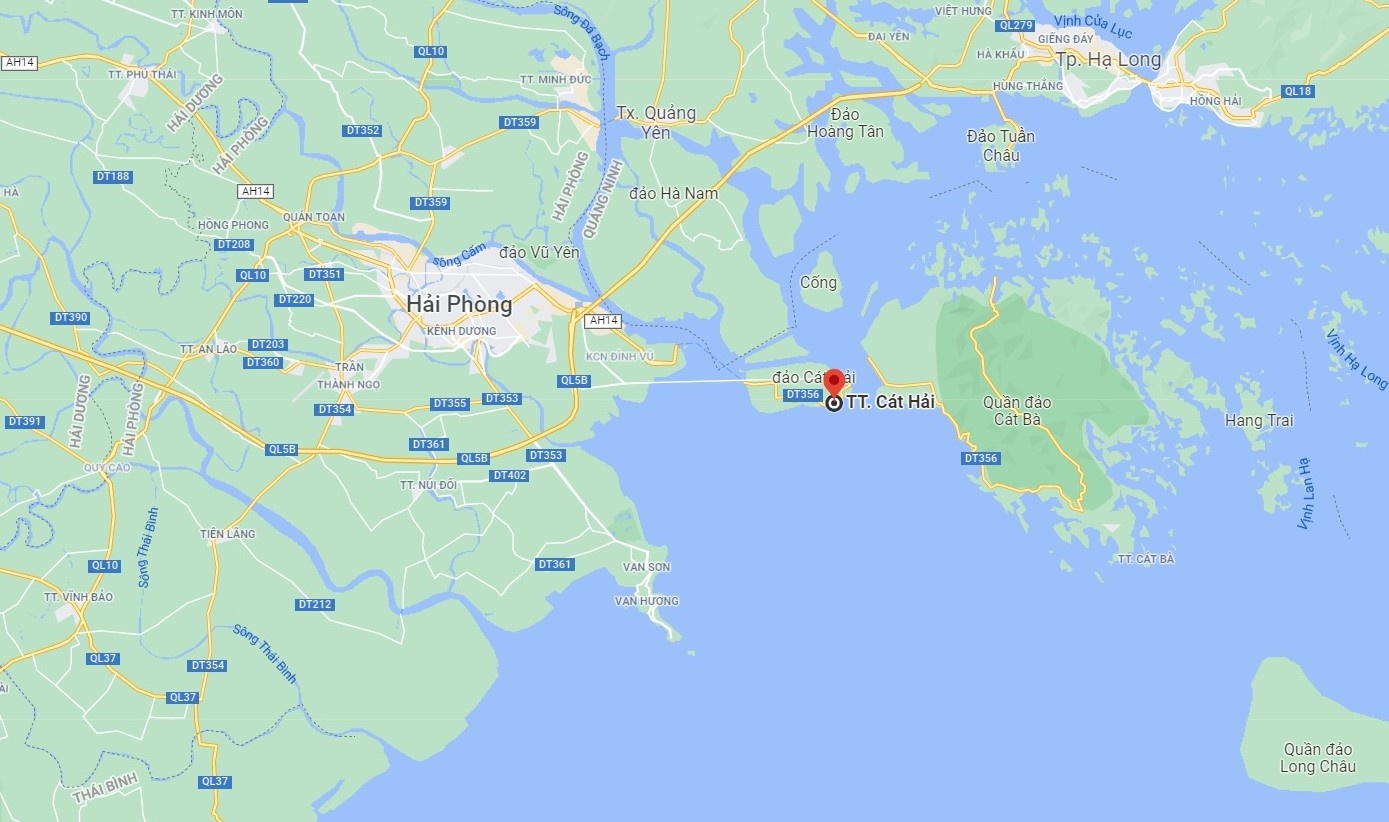 song khon kho vi ruoi bai rac anh 10