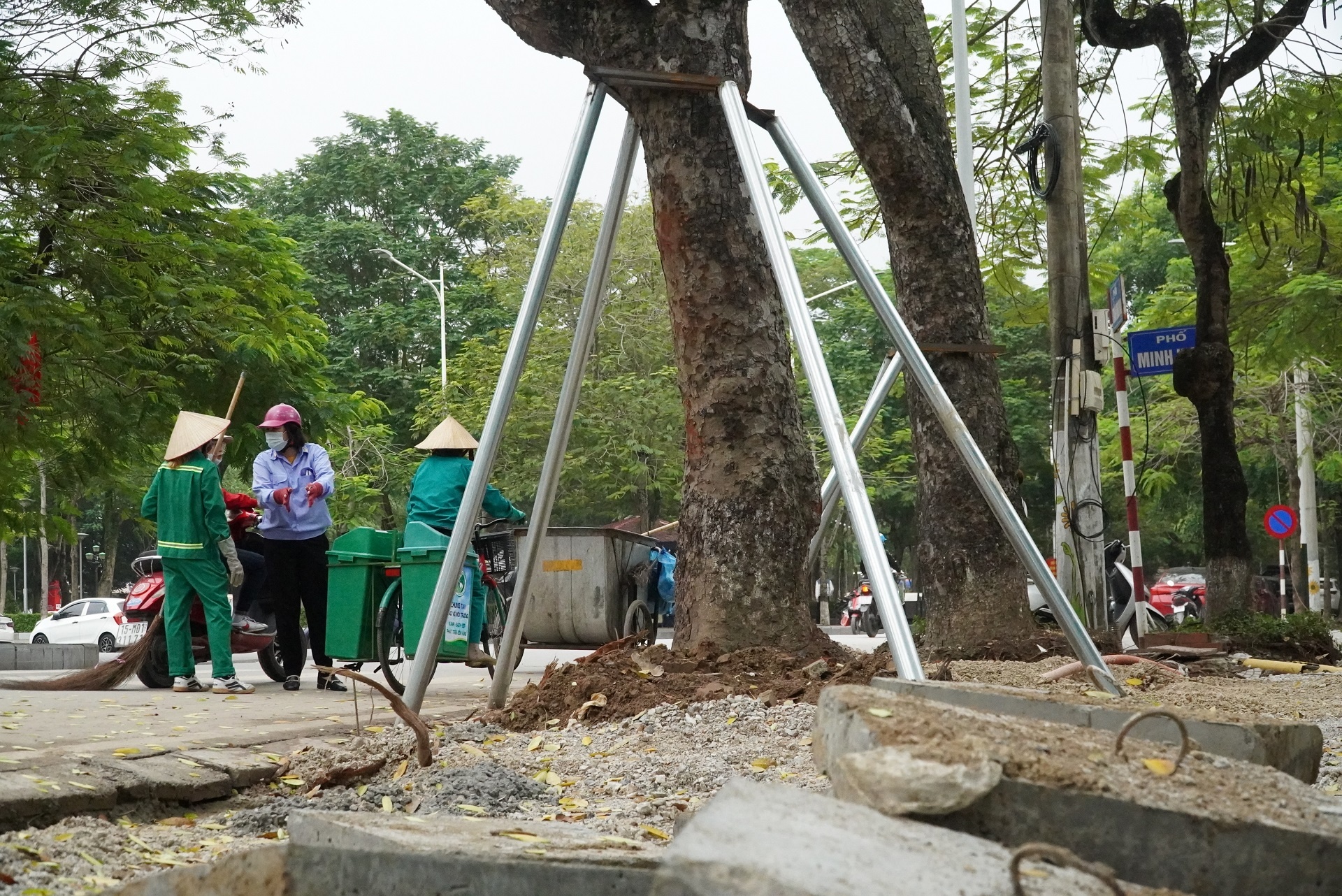 cai tao via he lam gay cay xanh anh 7