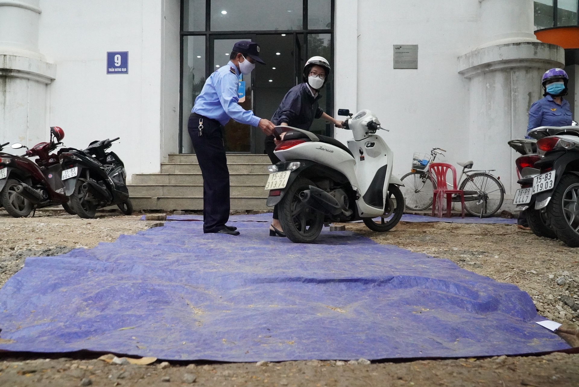 cai tao via he lam gay cay xanh anh 9