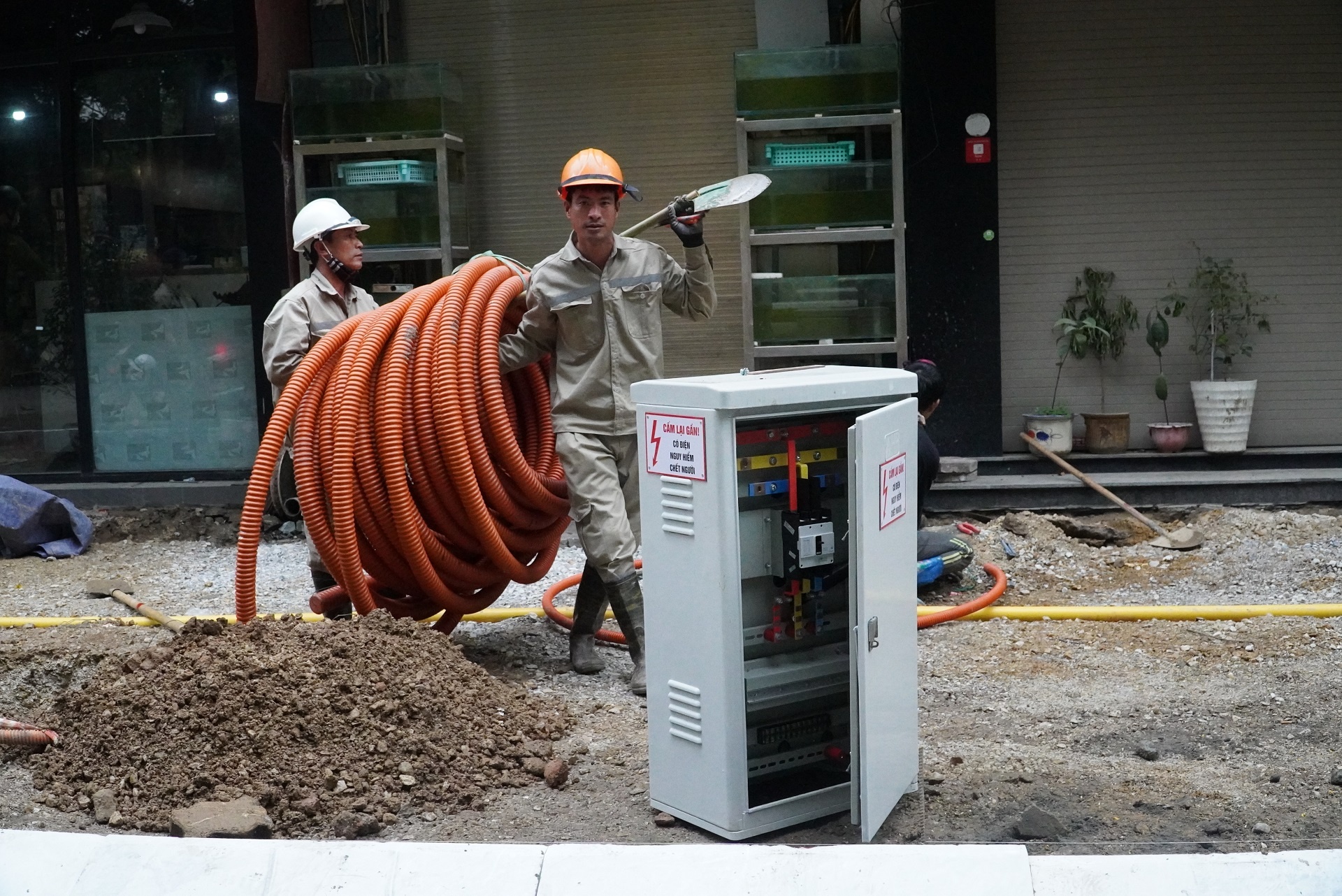 cai tao via he lam gay cay xanh anh 8