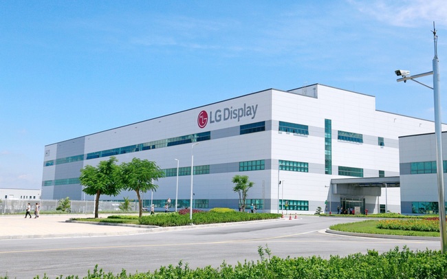 LG Display cho dung san xuat mot phan xuong o Hai Phong vi co ca F0 hinh anh