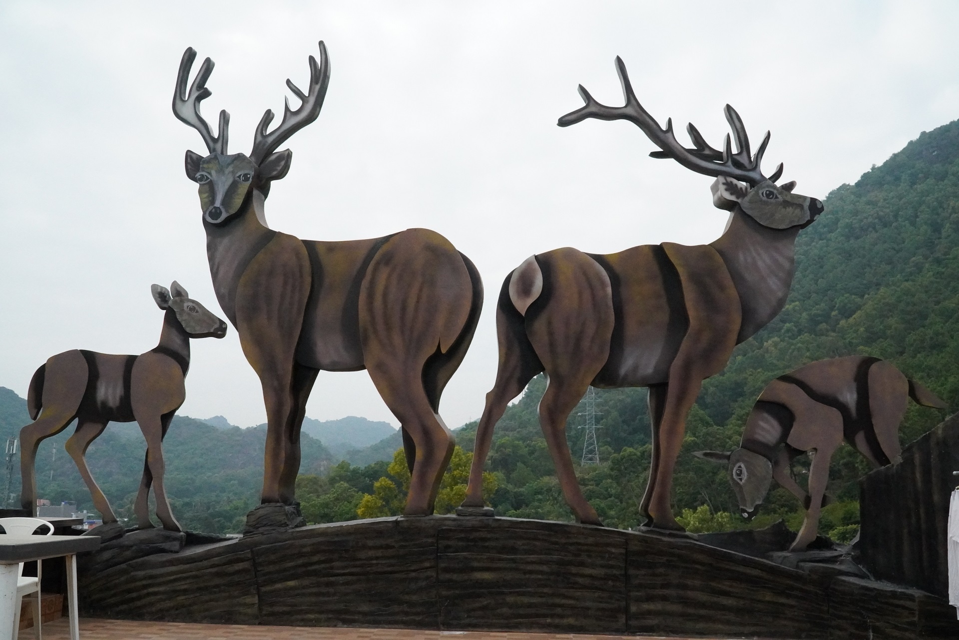 ngoi nha doc dao 102 anh 3