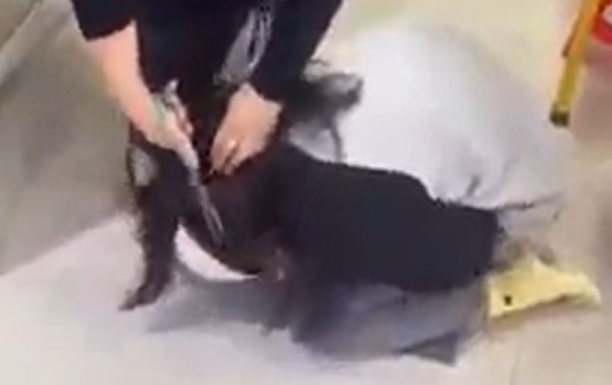 Chu shop quan ao lam nhuc co gai co the bi xu ly voi 2 toi danh hinh anh