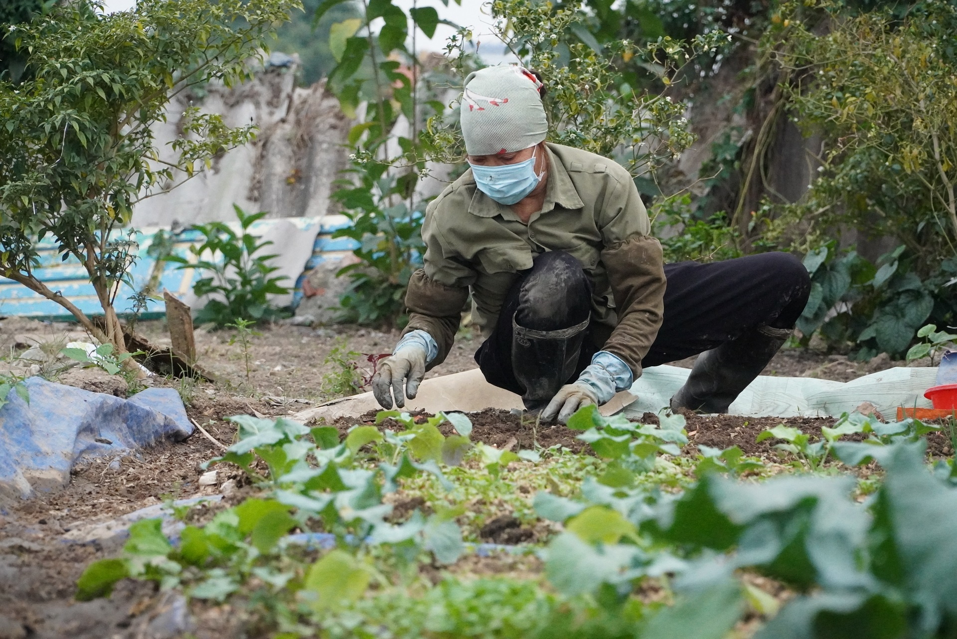 du an duong 4.300 ty treo o Hai Phong anh 6
