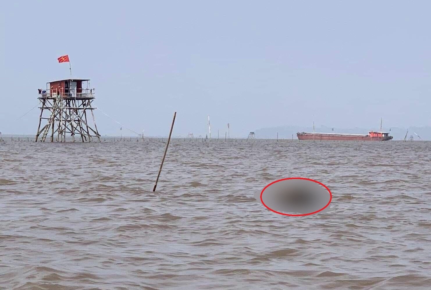 cong an thong tin vu thi the bi troi anh 1