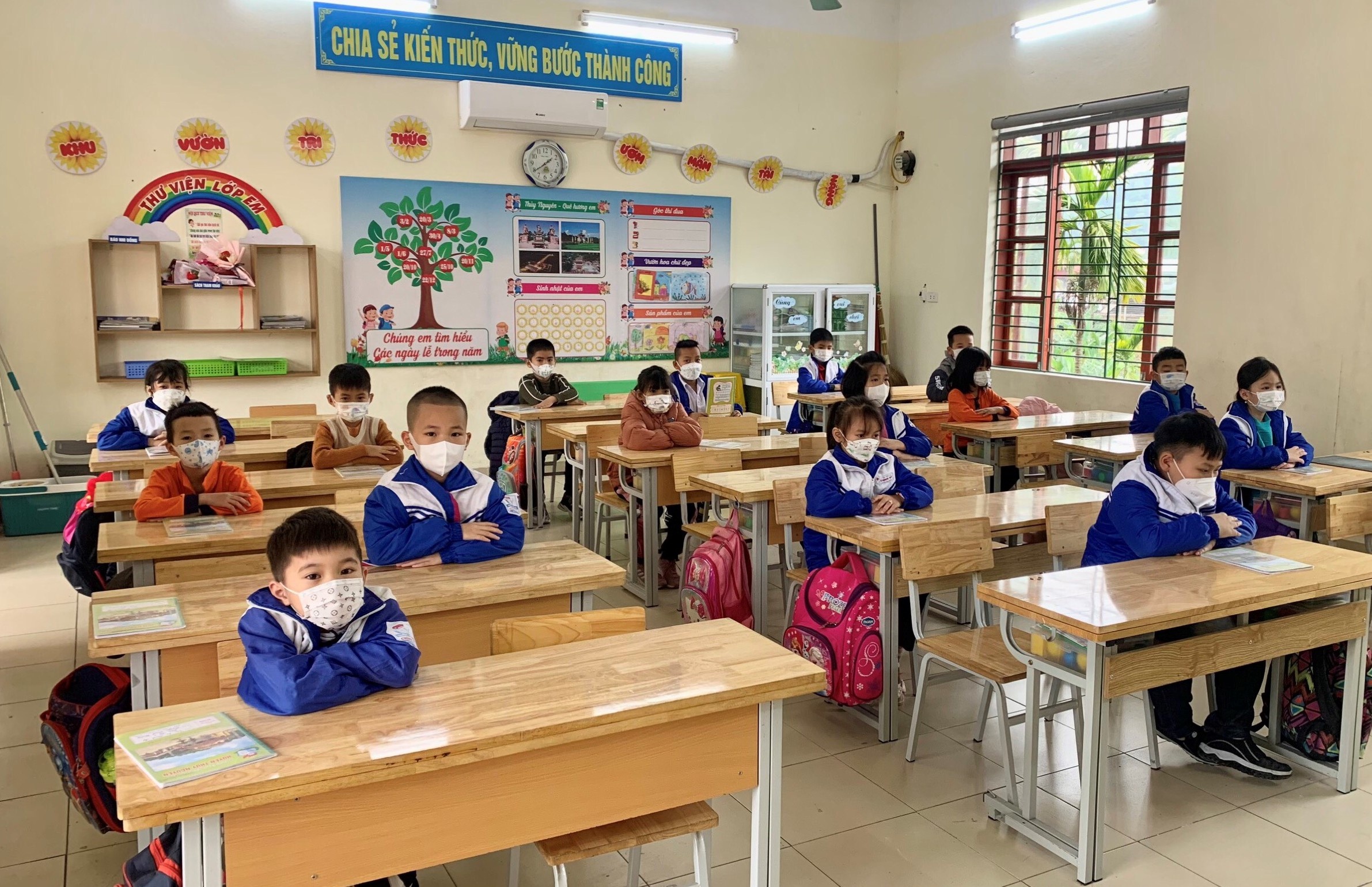 Chi 15% tre mam non o Hai Phong tro lai truong hinh anh