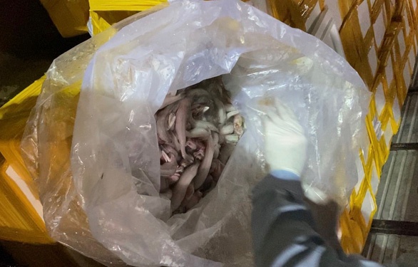 ca khoai uop chat doc anh 2