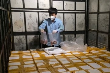 Chan oto tai cho hon 1,7 tan ca khoai uop formol di tieu thu hinh anh