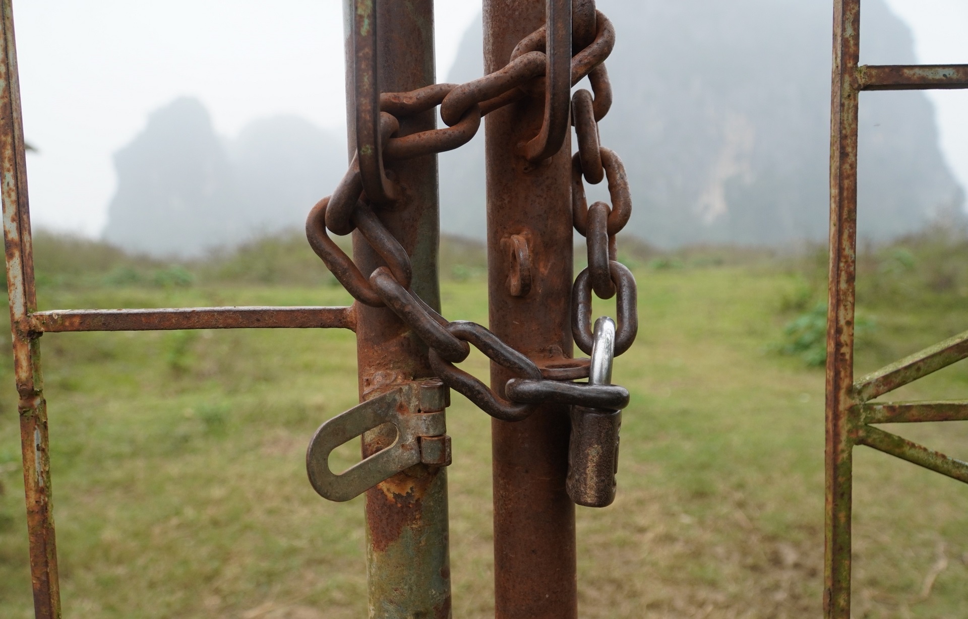 Can canh nha may xi mang nghin ty bi dung trien khai hinh anh