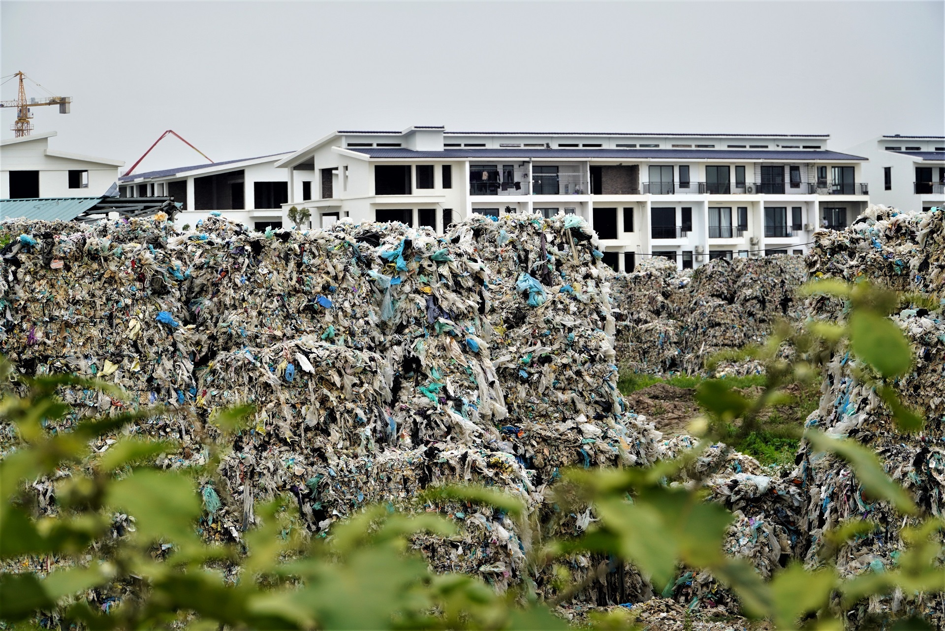 vi sao tap ket nylon trong khu do thi ecorivers anh 2