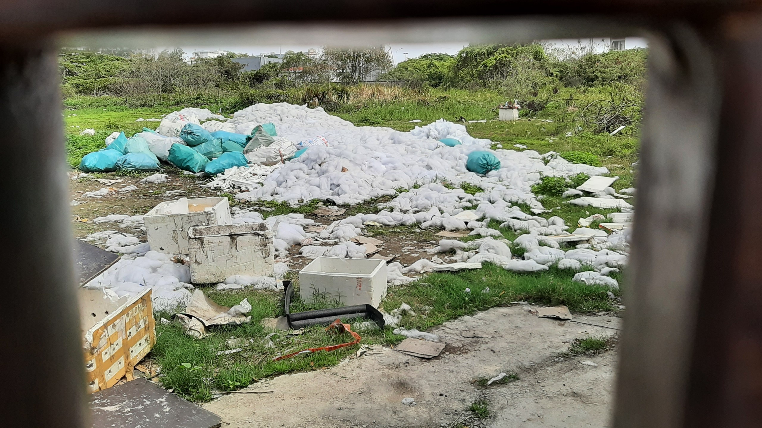 Hai Phong cuong che dat vang anh 2