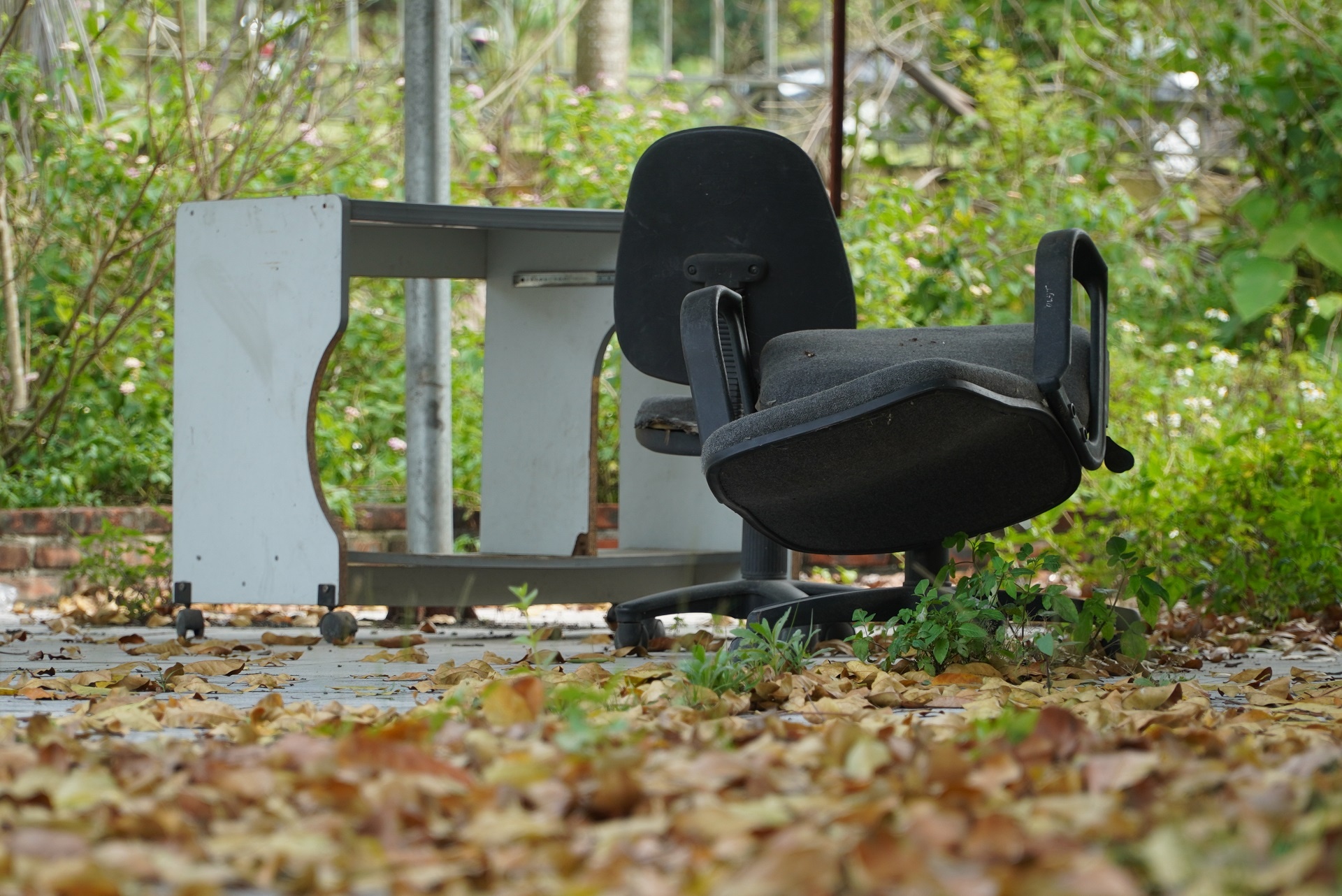 trung tam hoi nghi 160 ty bo hoang anh 7