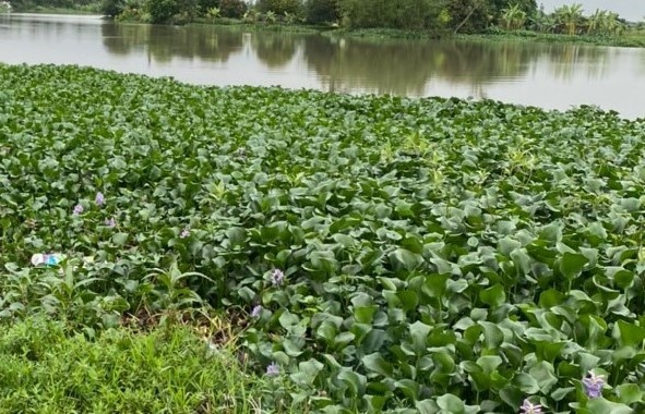 Thi the be trai 3 ngay tuoi duoi cong nuoc hinh anh