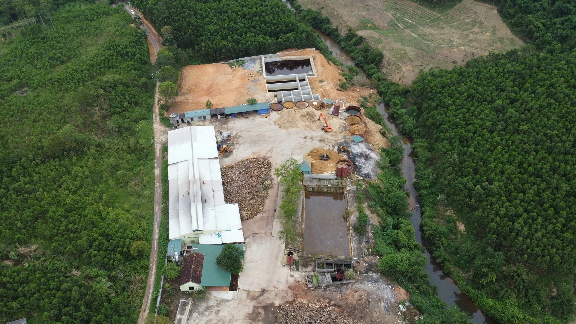 ca chet hon 10 km anh 3