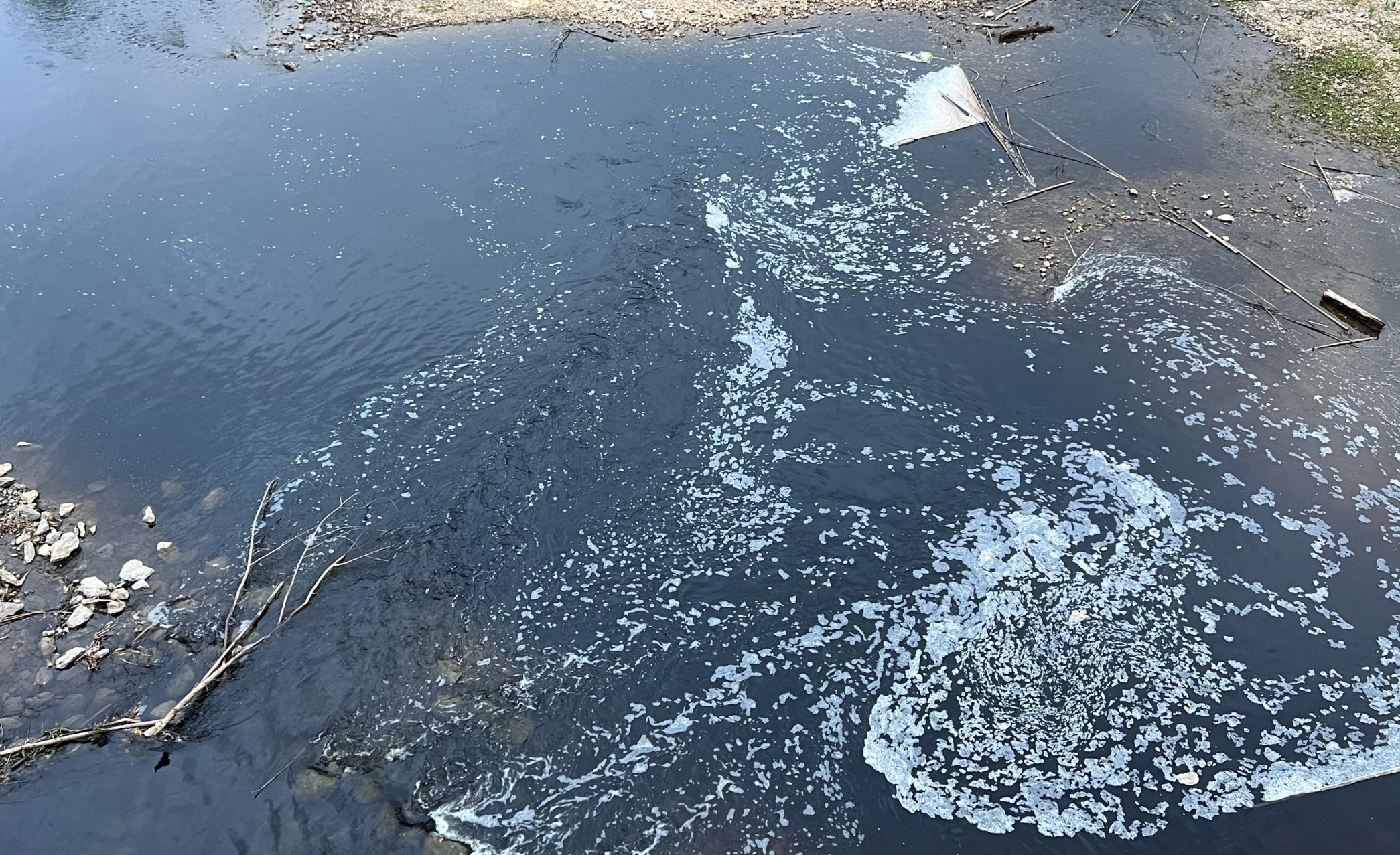 ca chet hon 10 km anh 1