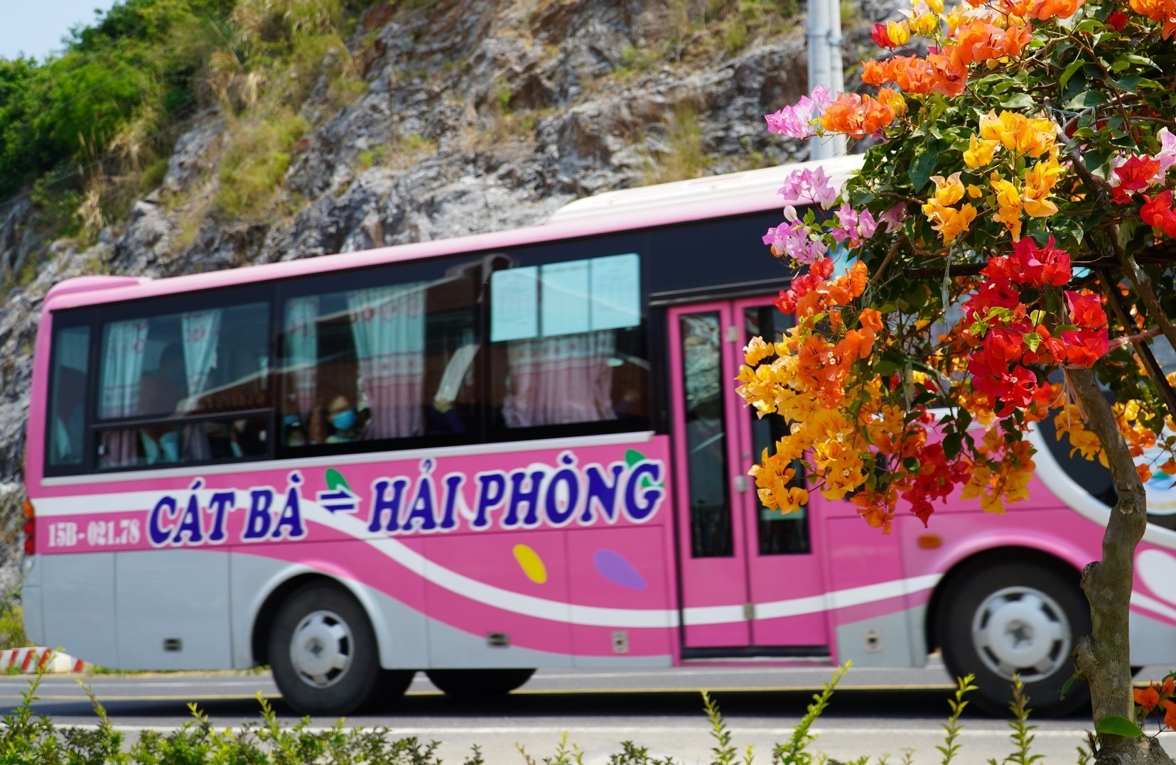 Tam dung dua oto con ra Cat Ba dip le, di chuyen the nao? hinh anh