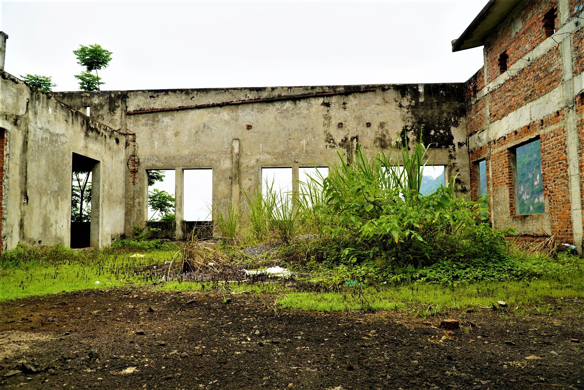 du an nha may xi mang do dang anh 5