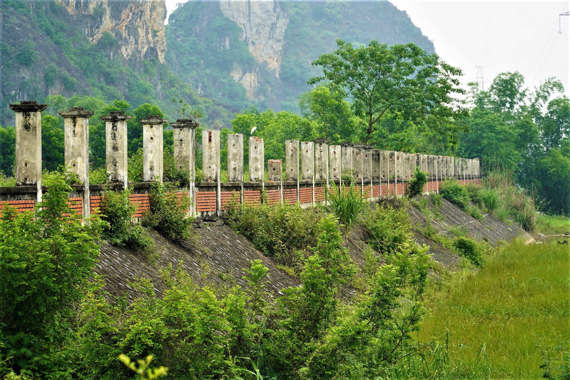 du an nha may xi mang do dang anh 8